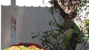 ‘Salva minha mãe’: filho teria se desesperado após esfaquear idosa no Jardim Veraneio