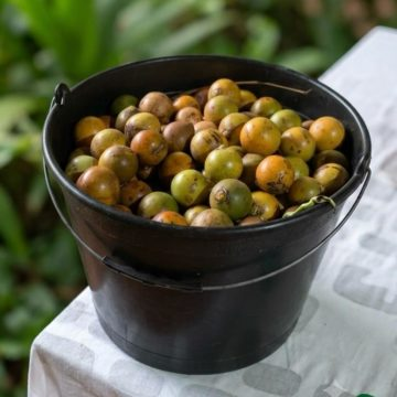 Casca de fruta amada em MS vira esfoliante de pele no Estado casca fruta esfoliante