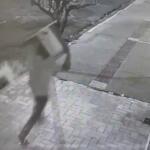 VíDEO: ladrão arranca e leva condensadora de ar-condicionado na região central de Campo Grande