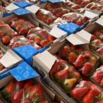 Com ‘febre’ do morango cravejado, procura pela fruta cresce até 60% na Ceasa-MS