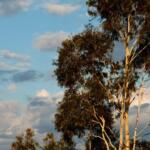 natureza, tempo, paisagem, nuvens