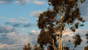 natureza, tempo, paisagem, nuvens
