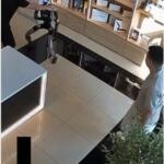 VÍDEO: Robô humanoide tenta chutar cliente em loja na Rússia