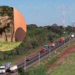 VÍDEO: Passagem do elefante Sandro por MS tem monitoramento em tempo real