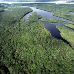 Brasil alcança menores taxas de desmatamento da série histórica no Cerrado e na Amazônia