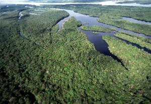 Brasil alcança menores taxas de desmatamento da série histórica no Cerrado e na Amazônia