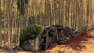 Motorista de carreta fica preso às ferragens e morre em acidente na MS-388