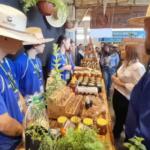 Campo Grande pode ter mercado para venda de produtos da agricultura familiar, afirma prefeita
