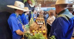 Campo Grande pode ter mercado para venda de produtos da agricultura familiar, afirma prefeita