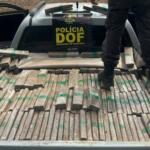Motorista é preso com quase 2 t de maconha em caminhonete furtada