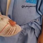 ‘Descaso’: família denuncia demora em cirurgia e falta de assistência a menino na Santa Casa
