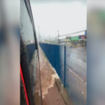 VÍDEO: alagamento no terminal General Osório dificulta a circulação de passageiros