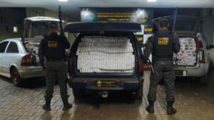 Suspeitos fogem e DOF apreende R$ 390 mil em cigarros em casa usada como depósito em Dourados