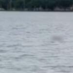 Corpo é encontrado boiando na Lagoa Maior em Três Lagoas
