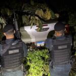 Dupla é presa ao tentar furtar Hilux e outra caminhonete é encontrada escondida em mata