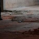 ‘Super pai’: familiares falam sobre morte de mecânico em briga com vizinho no Batistão