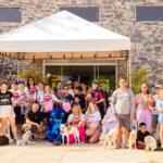 Prepare a guia: ‘Cãominhada’ em Corumbá terá arrecadação de doações e desfile de fantasias