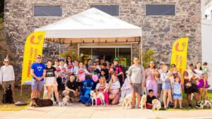 Prepare a guia: ‘Cãominhada’ em Corumbá terá arrecadação de doações e desfile de fantasias
