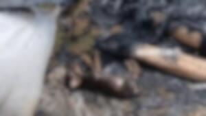 Manifestantes invadem base militar após filhote ser incinerado junto a drogas na fronteira com MS