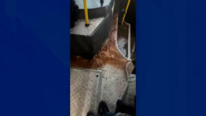 VÍDEO: Passageiros flagram água de chuva invadindo ônibus do Consórcio Guaicurus em Campo Grande