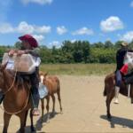 Urnas eletrônicas são levadas em cavalos para seções no Amapá