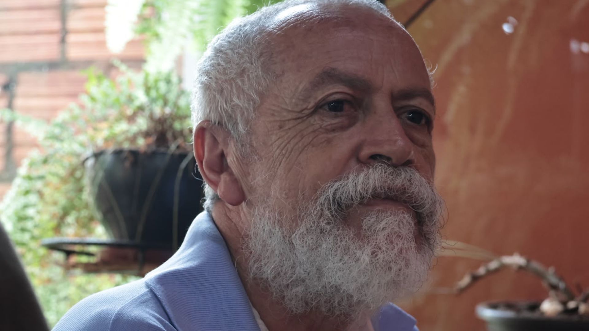 Festa da divisão 1977