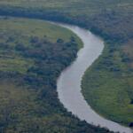 Queda recorde de desmatamento no Cerrado pode ajudar a frear danos ao Pantanal em MS
