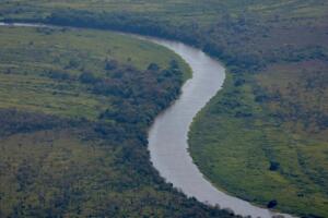 Queda recorde de desmatamento no Cerrado pode ajudar a frear danos ao Pantanal em MS
