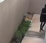 VÍDEO: Grávida com filho pequeno vive momentos de terror durante invasão em Três Lagoas