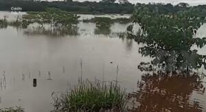 VÍDEO: Rio Dourados alcança a copa das árvores e 10 famílias são desalojadas em Fátima do Sul