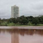 Parque das Nações tem árvore caída e pontos de alagamento após temporal em Campo Grande