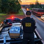 Em 3 meses, DOF apreendeu mais de R$ 215 milhões em drogas em MS