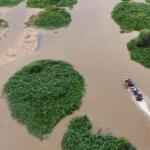 Vídeo registra cheia na região do Caronal, no Pantanal de Paiaguás em Coxim