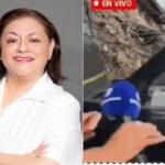 VÍDEO: Jornalista e cinegrafista são atropelados durante transmissão ao vivo no México