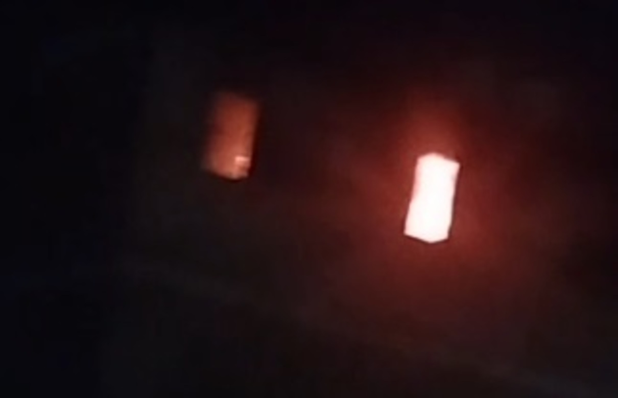 VÍDEO: cães e gato são resgatados de incêndio em apartamento no Leonel Brizola