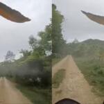 Competição de velocidade? Arara-canindé acompanha motociclista em estrada de Bodoquena