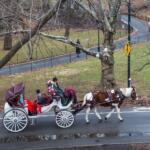 Nova York aprova fim das carruagens puxadas por cavalos e encerra operação de mais de 150 anos no Central Park