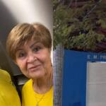 avó leva neto para votar