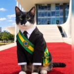 Vai criar bolsa-sachê? Gatinho ‘reitor’ da UFMS vira presidente em dia de eleição