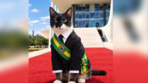 Vai criar bolsa-sachê? Gatinho ‘reitor’ da UFMS vira presidente em dia de eleição