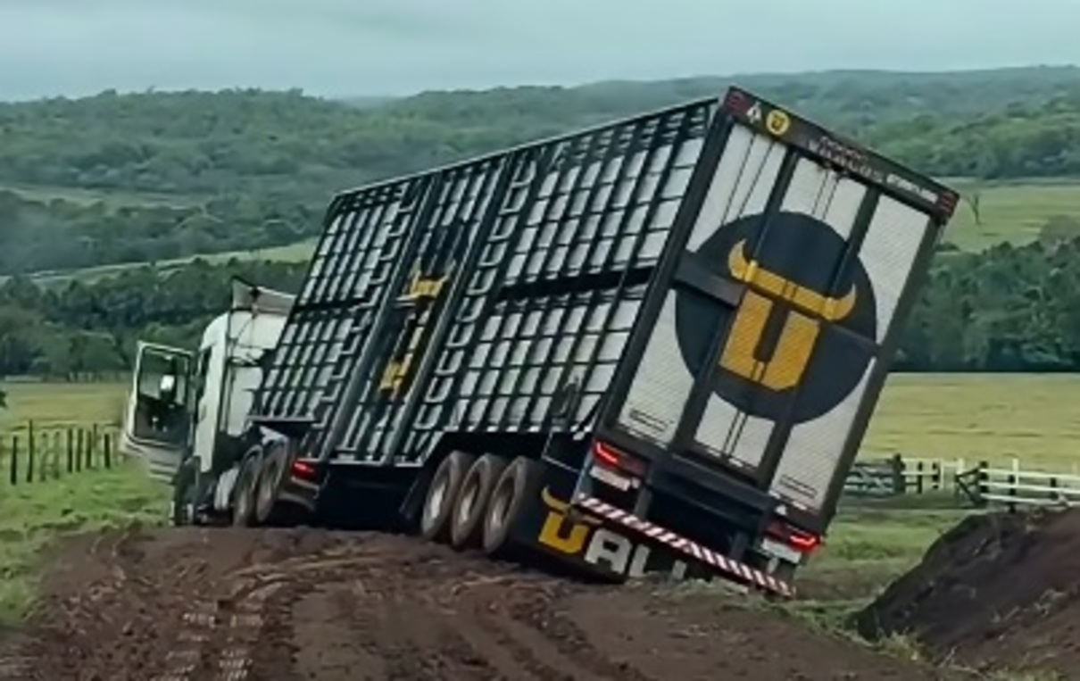 VíDEO: caminhão boiadeiro tomba em fazenda de Terenos