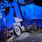 Motorista tomba carreta ao tentar desviar de árvore caída na BR-262