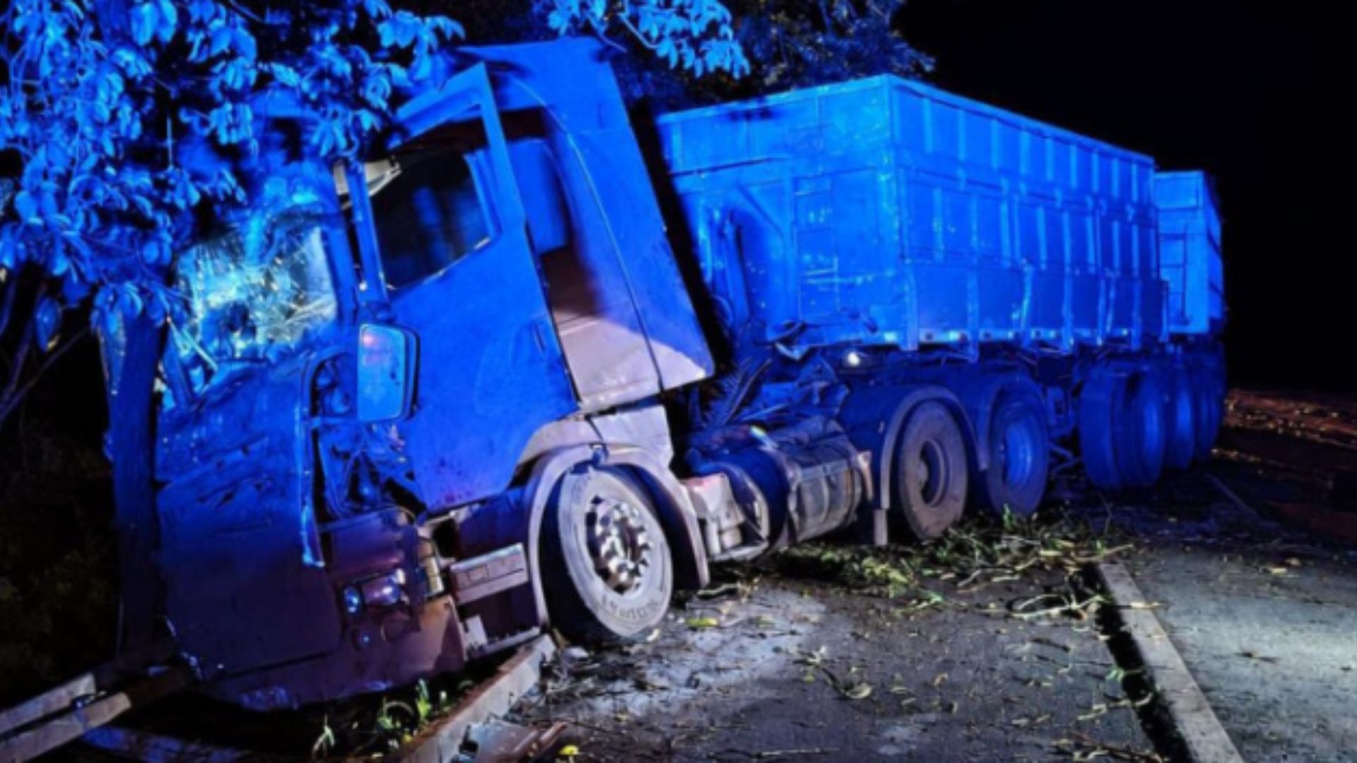 Motorista tomba carreta ao tentar desviar de árvore caída na BR-262