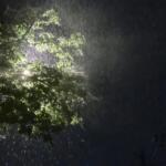 Com 1.475,8 mm, chuva acumulada em 2026 já superou total do ano passado em Campo Grande