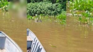 Corpo de turista que desapareceu durante pescaria no Rio Paraguai é encontrado
