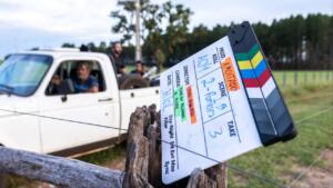 ‘Amoitado’: suspense sobre roubo de gado em MS estreia no Curta Campo Grande