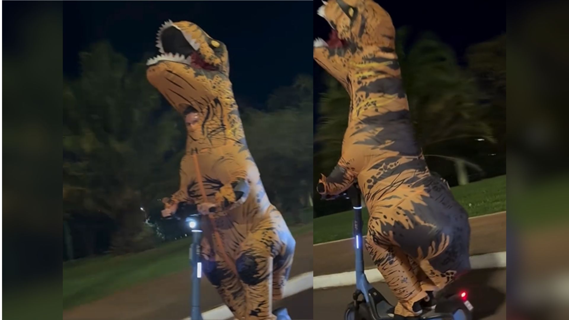 ‘Jurassic Park’ em Campo Grande? Dinossauro é visto de forma inusitada no Parque das Nações