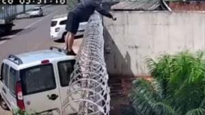 Vale tudo para não amassar? Trabalhador usa técnica e improvisa entrega no bairro Santo Amaro