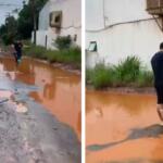 Tirando onda: Vizinhos brincam de pescaria após chuva e alagamentos no Itamaracá
