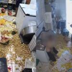 Adolescentes invadem escola no Paraná e destroem cerca de 400 ovos